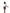 Women's Cotton Shorts