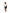 Women's Cotton Shorts